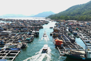 Danjia: un viaje flotante de sabores y tradición en Hainan