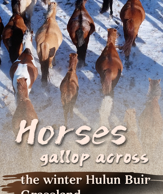 Caballos_galopan_en_la_estepa_nevada_de_Hulunbuir video poster