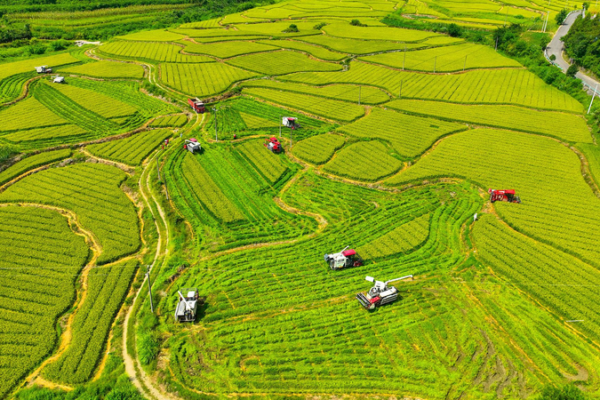 China_define_prioridades_rurales_2026_en_conferencia_central