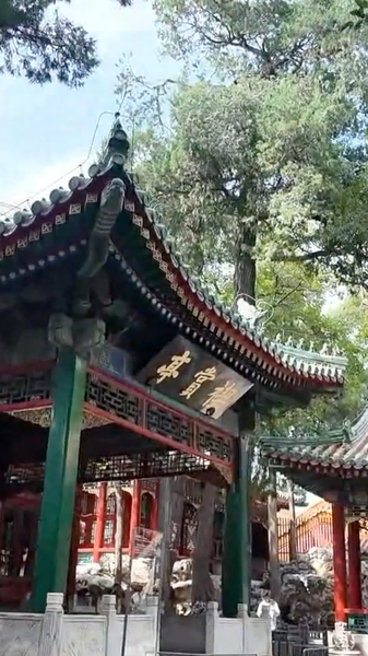 El Jardín Qianlong reabre tras cien años de espera video poster