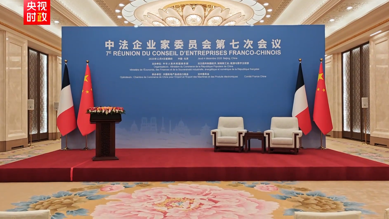 Xi Jinping y Macron clausuran el 7º Consejo Empresarial China-Francia