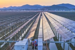China refuerza regulación del sector fotovoltaico para un crecimiento de calidad