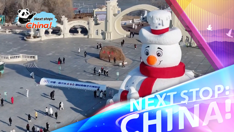 Harbin_se_prepara_para_la_Expo_de_Esculturas_de_Nieve_2025 video poster