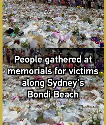 Homenaje_en_Bondi_Beach__memorial_a_una_semana_del_tiroteo video poster