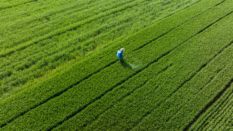 Así planea China anclar la modernización agraria y rural