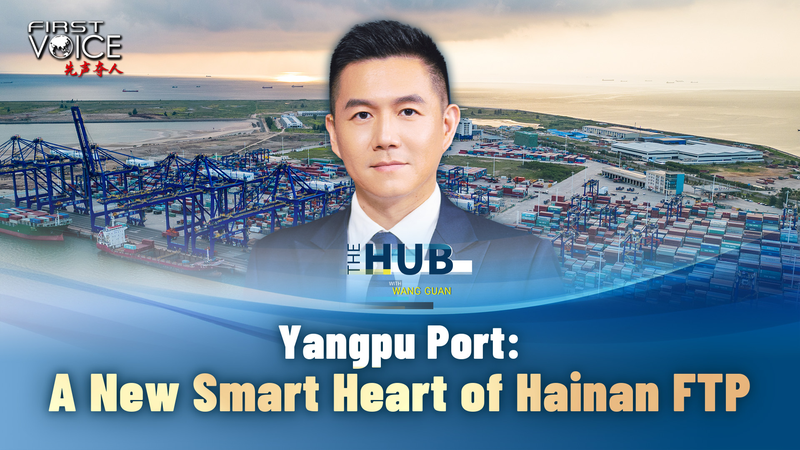 Puerto Yangpu: corazón inteligente del FTP de Hainan video poster