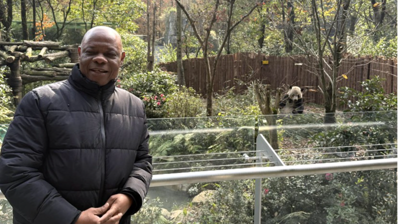 Pandas y biodiversidad: un viaje por la conservación en China