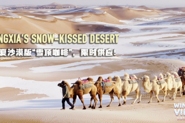Ningxia_se_viste_de_blanco__dunas_nevadas_en_el_Tengger video poster