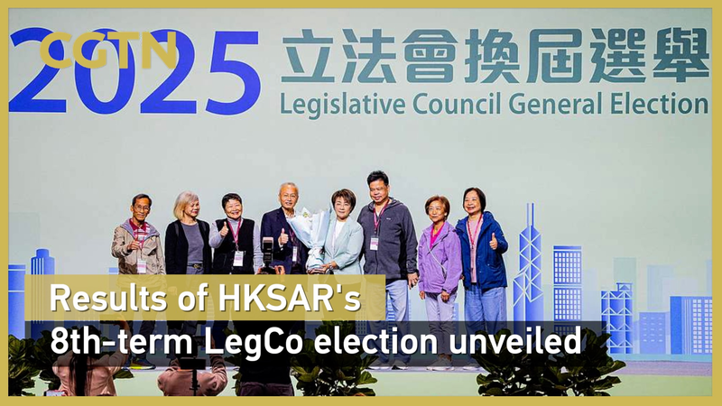 Resultados revelados del 8.º Consejo Legislativo de la RAE de Hong Kong video poster