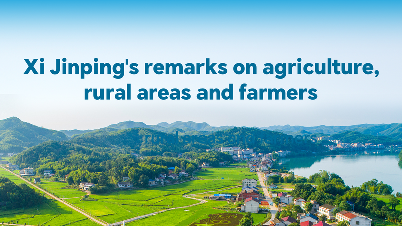 Xi Jinping destaca la agricultura y modernización rural en China