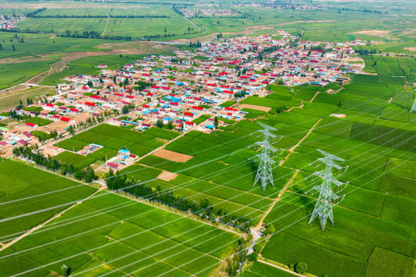 Los 10 hitos principales de la revitalización rural en China en 2025 🌾