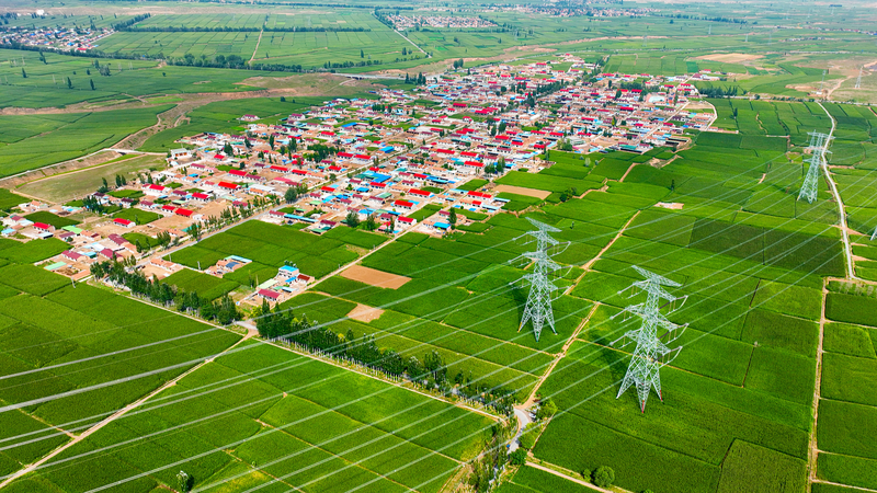 Los 10 hitos principales de la revitalización rural en China en 2025 🌾