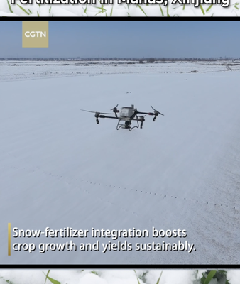 Drones revolucionan la fertilización del trigo invernal en Manas, Xinjiang video poster