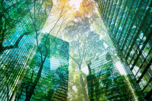 Se prevé que la economía verde alcance los $7 billones para 2030, dice WEF-BCG