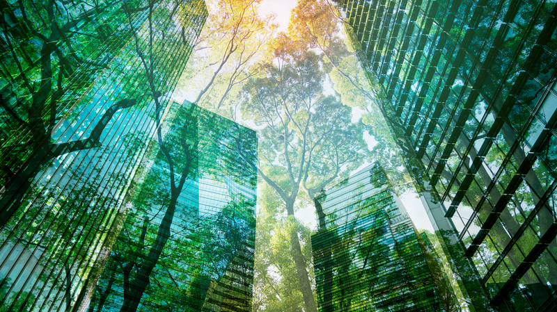 Se prevé que la economía verde alcance los $7 billones para 2030, dice WEF-BCG