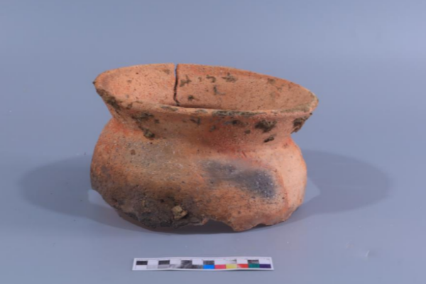 CMG revela los 10 principales descubrimientos: herramientas de madera de 300,000 años en China