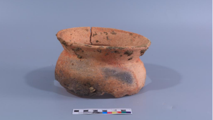 CMG revela los 10 principales descubrimientos: herramientas de madera de 300,000 años en China