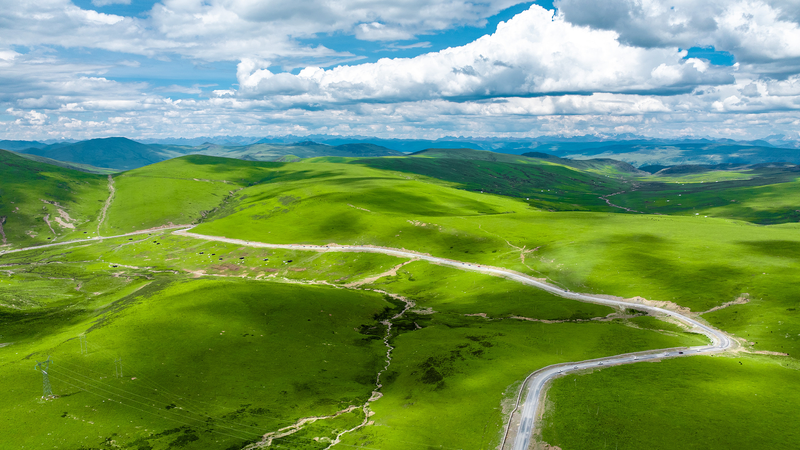 Mejora ecológica en los pastizales de China durante el 14º Plan Quinquenal