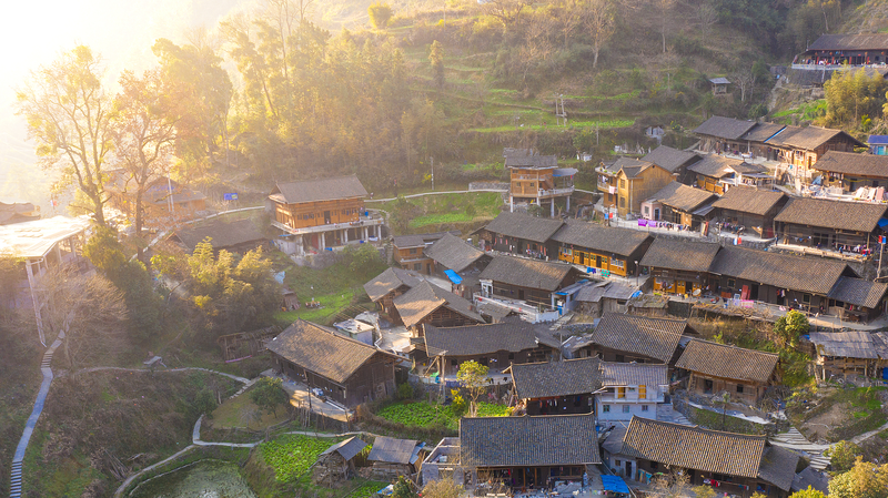 Frena en un mundo veloz: la sabiduría china antigua resuena hoy