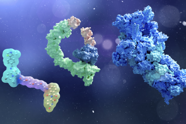 Científicos chinos logran degradación proteica con precisión quirúrgica
