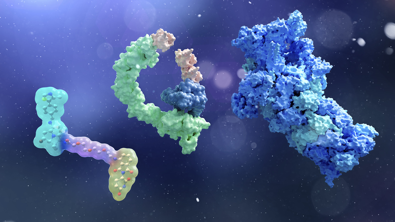 Científicos chinos logran degradación proteica con precisión quirúrgica