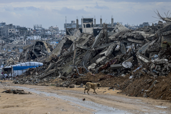 Israel elimina a dos líderes de Hamas; Gaza reporta 14 muertos en las últimas 24h