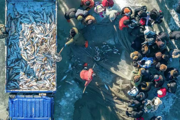La pesca invernal en el lago Chagan arranca con histórica subasta