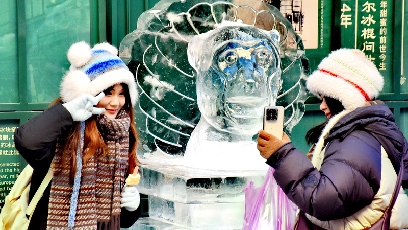 Esculturas_de_hielo_del_zodiaco_chino_iluminan_Harbin