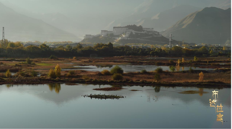 Humedal Lhalu: El pulmón de Lhasa a 3.600 m de altura