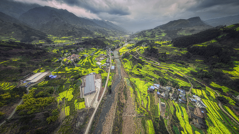 Flores_de_colza_pintan_de_primavera_el_invierno_en_Sichuan video poster