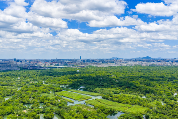 Hangzhou__una_de_las_20_ciudades_hacia_cero_residuos_de_la_ONU