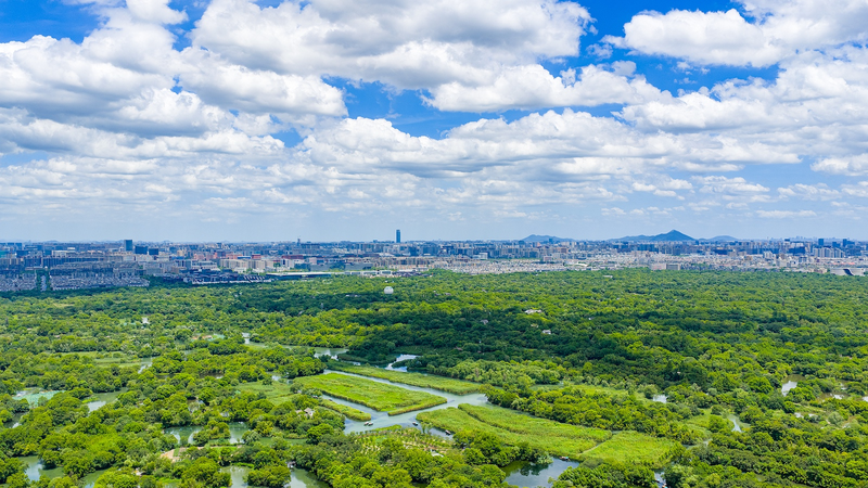 Hangzhou__una_de_las_20_ciudades_hacia_cero_residuos_de_la_ONU