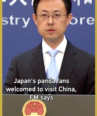 China invita a entusiastas de los pandas de Japón a visitarla antes de febrero video poster