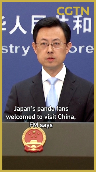 China invita a entusiastas de los pandas de Japón a visitarla antes de febrero video poster