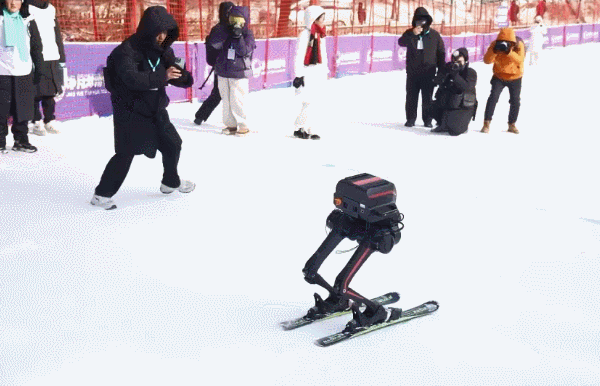 ¡Robots a -20°C! Primer concurso de hielo y nieve en Changchun