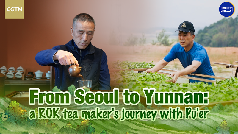 De Seúl a Yunnan: un maestro de té de la ROK une culturas con Pu'er video poster