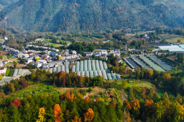 La industria impulsa la revitalización rural en China