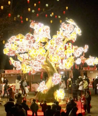 Feria de Faroles de Luzhou ilumina Hefei con magia del Año Nuevo video poster