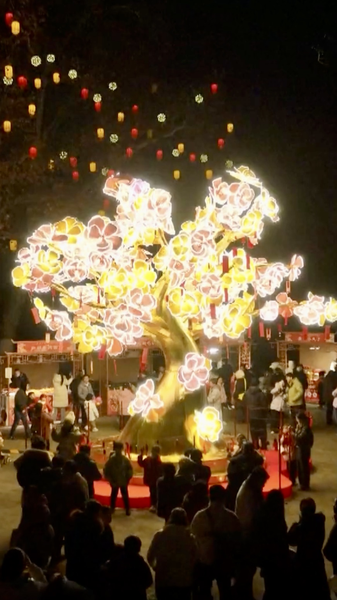 Feria de Faroles de Luzhou ilumina Hefei con magia del Año Nuevo video poster