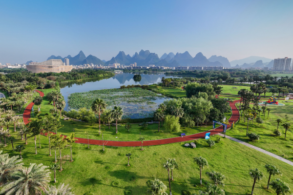 China completa 8.47M ha de reforestación y restauración en 2025