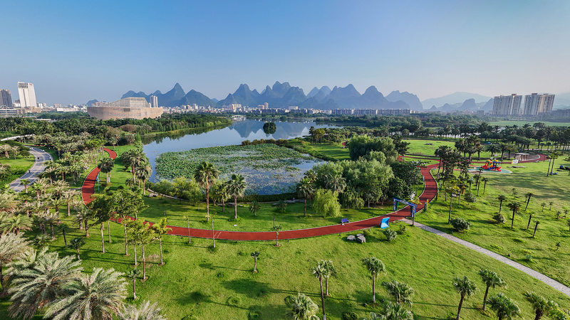 China completa 8.47M ha de reforestación y restauración en 2025