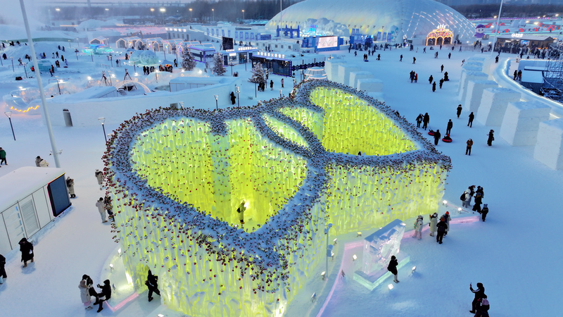 Rose Icefall: ícono romántico del invierno en Harbin