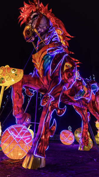 Festival de Faroles en Hefei fusiona tradición y tecnología video poster