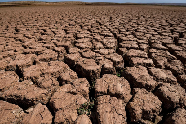 Marruecos celebra el fin de una sequía de siete años tras lluvias récord