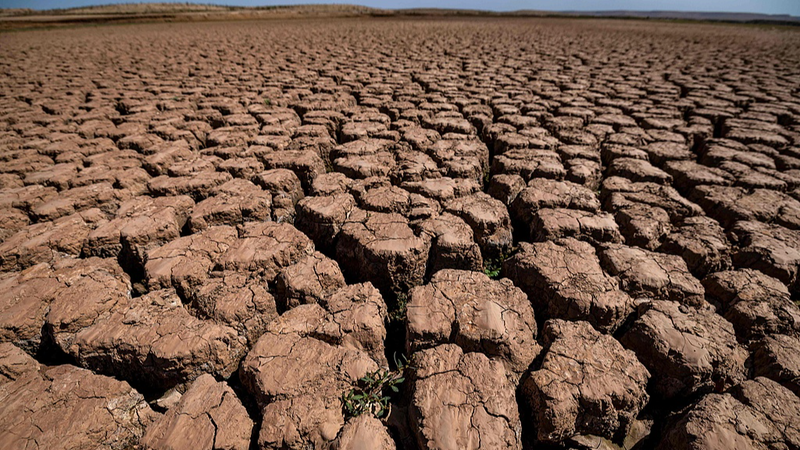 Marruecos celebra el fin de una sequía de siete años tras lluvias récord