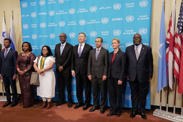 Cinco países inician mandato en el Consejo de Seguridad de la ONU