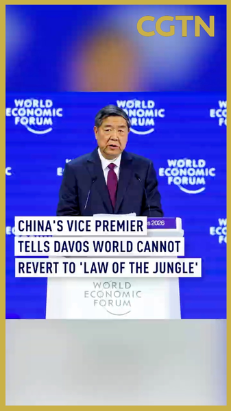 Vicepremier chino advierte en Davos: no volvamos a la «ley de la selva» video poster
