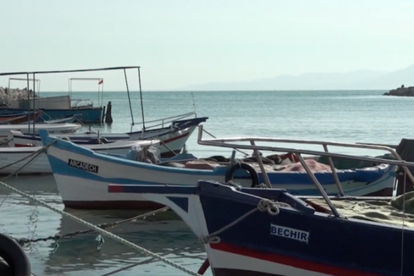 Pesca ilegal en Túnez pone en riesgo al gran tiburón blanco video poster