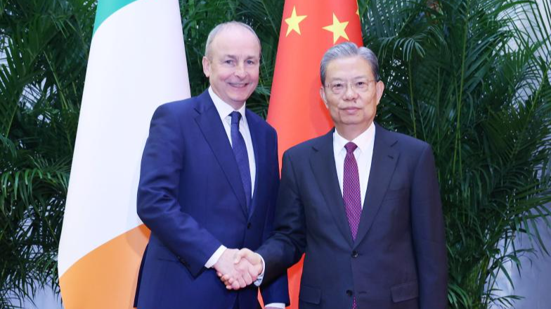 China e Irlanda refuerzan su asociación estratégica tras reunión clave