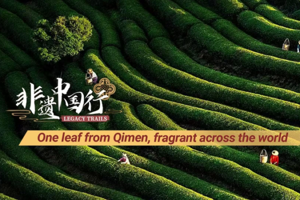 Qimen: el té negro que fusiona tradición y tecnología video poster